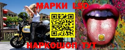 крисы Кунгур