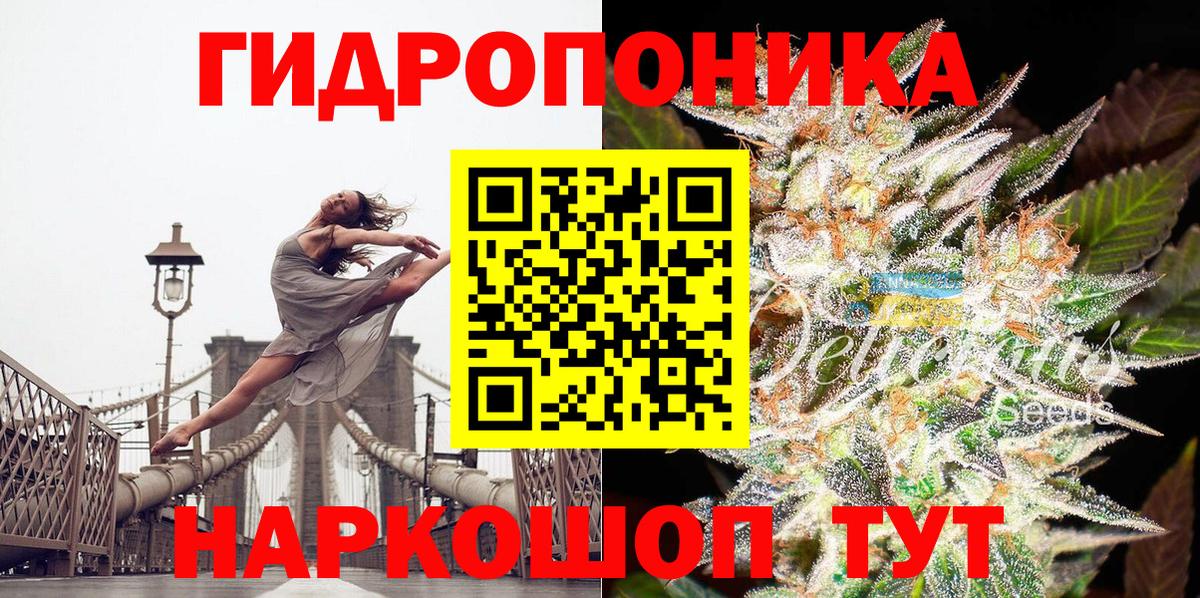 Кинель  Каннабис сатива  Канабис индика  Бошки марихуана гибрид  Каннабис сатива  Вход с VPN 